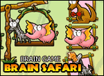 brainsafari