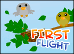 firstflight